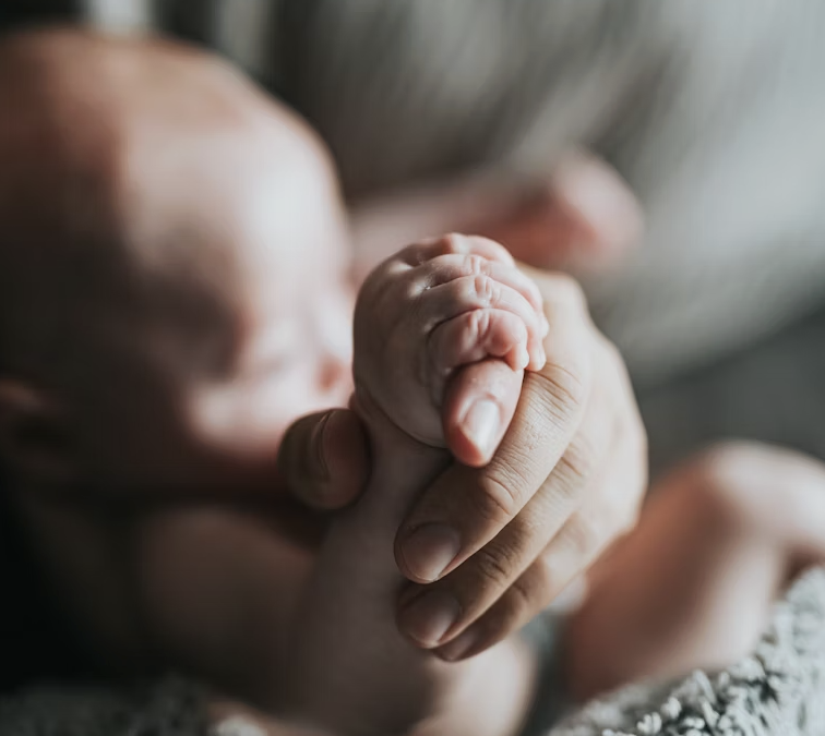 February 2026 Impact Report